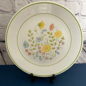 1 Corelle Corning Meadow Dinner Plate 10”
